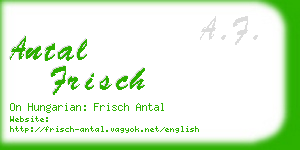 antal frisch business card